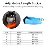 LED Adjustable Dog Collar- Keep your dog safe at night