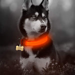 LED Adjustable Dog Collar- Keep your dog safe at night