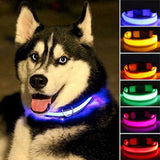 LED Adjustable Dog Collar- Keep your dog safe at night